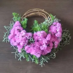 2026年最新】スターチスの人気アイテム - メルカリ