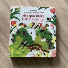 Sleeping Bunnies 仕掛け絵本 英語童謡 正規品 - メルカリ