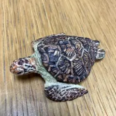 はしもとみおの彫刻 アオウミガメ フィギュア