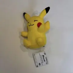 ポケットモンスター ぬいぐるみ ピカチュウ