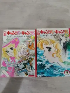□2冊□『小説キャンディ・キャンディ』1,2巻□水木杏子