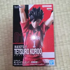 ハイキュー!! ポージングフィギュア 프라이즈(게임센터 경품) 景品 フィギュア 黒尾 鉄朗