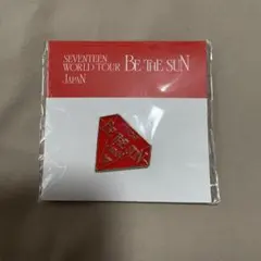 SEVENTEEN 愛知 ピンバッジ BETHESUN