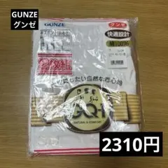 新品　グンゼ　GUNZE 半ズボン下(前あき)2枚組　L