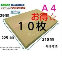 ◈822 ネコポス 厚さ3cm に最適なA4ダンボール箱 １０枚セット
