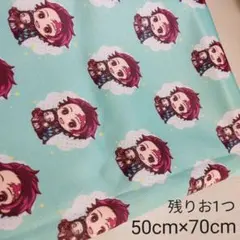 鬼滅の刃 竈門炭次郎 with 禰豆子 withシリーズ生地 50✕70