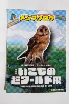 いきもの超ワールド展 メンフクロウ ステッカー