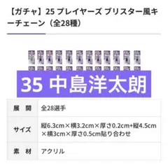サンフレッチェ広島 【ガチャ】25プレイヤーズ ブリスター風キーチェーン 中島