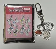 PEANUTS ぷちアクリルチャームキーホルダー　スヌーピー　チャーリーブラウン