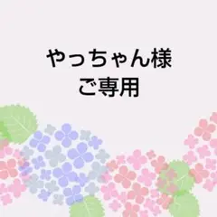 やっちゃん様　ご専用