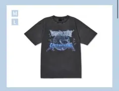あのちゃん 即完 Scream Damage Tシャツ XL ano SCREAM DAMAGE Tシャツ XLサイズ あのちゃん tシャツ - メルカリ