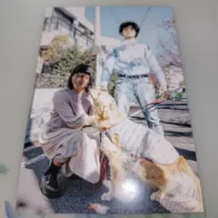 2025年最新】ジャルジャル グッズの人気アイテム - メルカリ