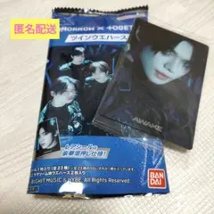 【匿名配送】ツインウエハース ヨンジュン