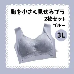 1602 胸を小さく見せるブラ　2枚セット ノンワイヤー ブラジャー 青 3L