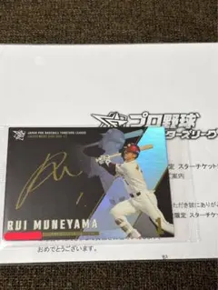 m*t様 ファンスターズリーグ スターチケット 阪神タイガース m*t様 ファンスターズリーグ スターチケット 阪神タイガース - メルカリ