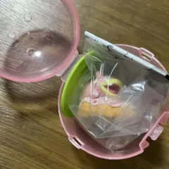 ポケモン　ヤドン　ガチャ