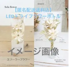 【匿名配送送料込】LEDドライフラワーボトル　HANA MEETS