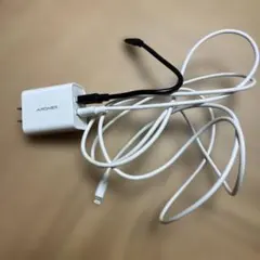 Apple ライトニングケーブル iPhone iPad 充電 USB