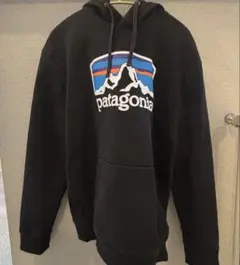 パタゴニア パーカー
