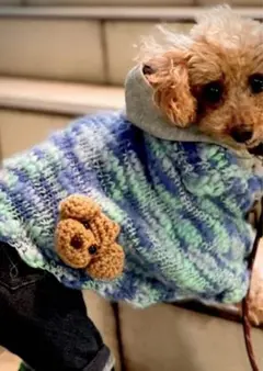 犬服　ポンチョ
