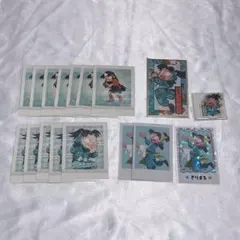 忍たま乱太郎 摂津のきり丸 ぱしゃこれ 華絵札 推しパシャ アクリミニ