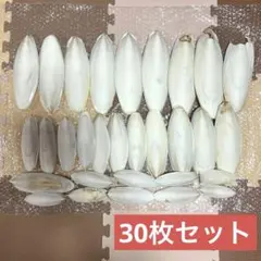 カトルボーン《30枚セット》約10cm〜27cmのサムネイル