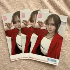 AKB48 田口愛佳 ガラポン チェキ風 生写真 4月 - メルカリ