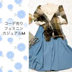 コーデ売り/まとめ売りフェミニンM