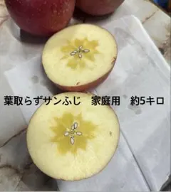 ちゃらんぽらん様専用　葉取らずサンふじ&トキ 約10キロセット