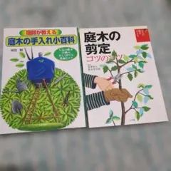 Item thumbnail for item 51d39d16-e230-4d6a-bab1-72d2e793915c