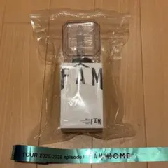 timelesz FAM ペンライト(銀テープ付き)