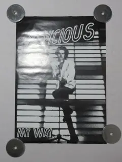 ショーニーロットン＆シドヴィシャスポスターイングランド製セックスピストルズパンク il_fullxfull.6087454316_pplo.jpg