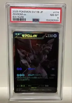 ゼクロムex BWR PSA8 ポケモンカード