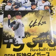 阪神タイガース 2023年 セリーグ 優勝 記念 メタルグラフィ ARE 胴上げ
