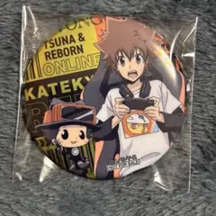 ゲーム配信者風　アニメイト　特典　缶バッジ　沢田綱吉　リボーン　REBORN