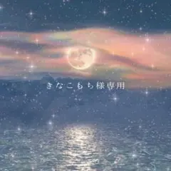 きなこもち様専用【計4点】