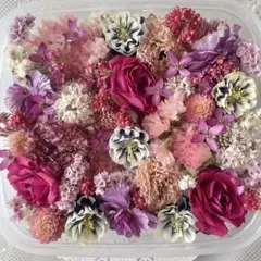 No.412 花材色々ドライフラワーセット
