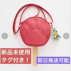 しまむら　ちはる　ディズニー　ショルダー付きアイス型ポーチ　ズートピア　ニック