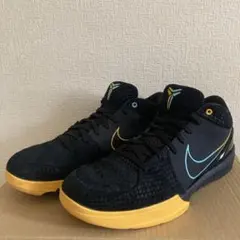 NIKE KOBE Ⅳ PROTRO "FTB Snake" コービー4
