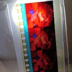 エヴァンゲリヲンQ 式波アスカ フィルムコマ - メルカリ