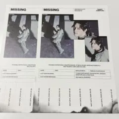 SEVENTEEN HBD NEW ESCAPE ポスター ディノ