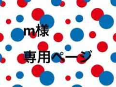 m様 専用