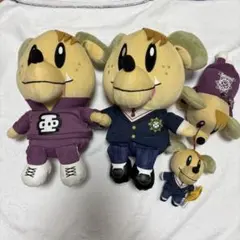 【5日間限定SALE❗️】 【白濱亜嵐】GENE高 GENE犬セット