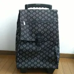 Item thumbnail for item 332a65c3-067d-4eef-b609-81c23241b6e1