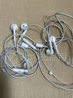 EarPods Lightning 2本