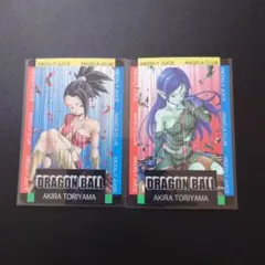 ドラゴンボール　ロベル　ケール　セクシーカード　海外製　谷間　２枚セット