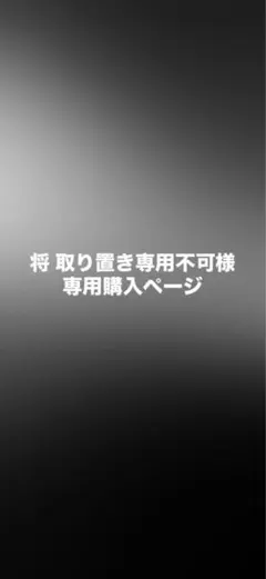 将 取り置き専用不可様専用購入ページ