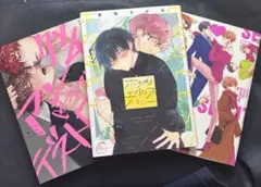 ボーイズラブ漫画3冊セット