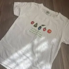 はらぺこあおむし　130cm Tシャツ ERIC CARLE キャタピラー