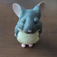 威厳のあるチンチラさん　ごまんえつ